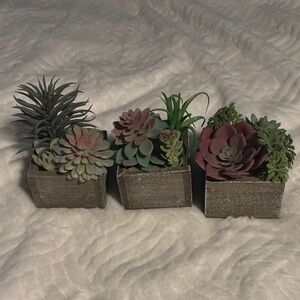 Rustic Succulent Planter Trio - Green, Pink, and Purple